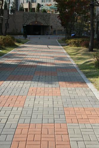 3700.jpg